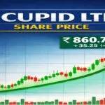 Cupid Share Price: Buy, Sell & Hold Complete Analysis