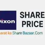 Dixon Share Price: Target From 2030 Analysis